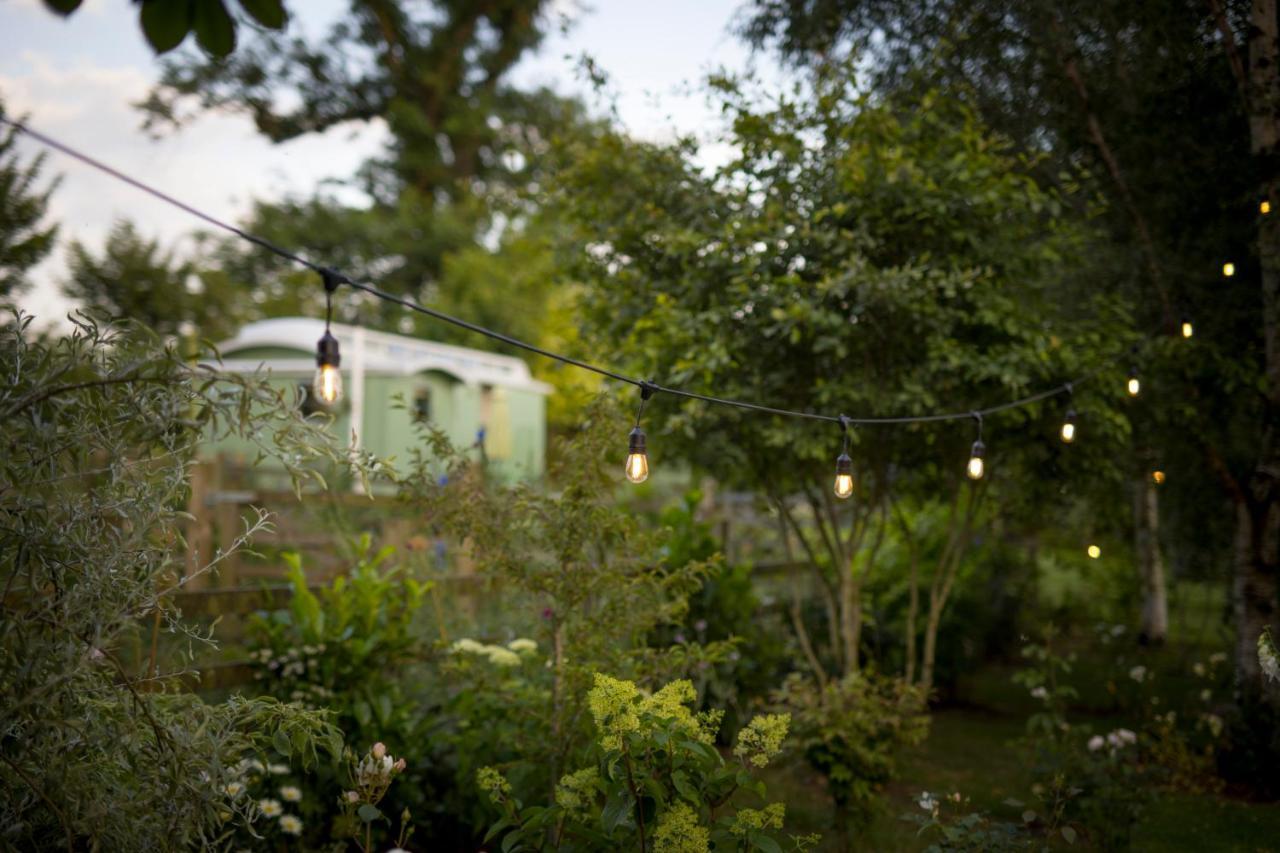 West Cottage, Southlands Farm, Gunnerton هيكسهام المظهر الخارجي الصورة
